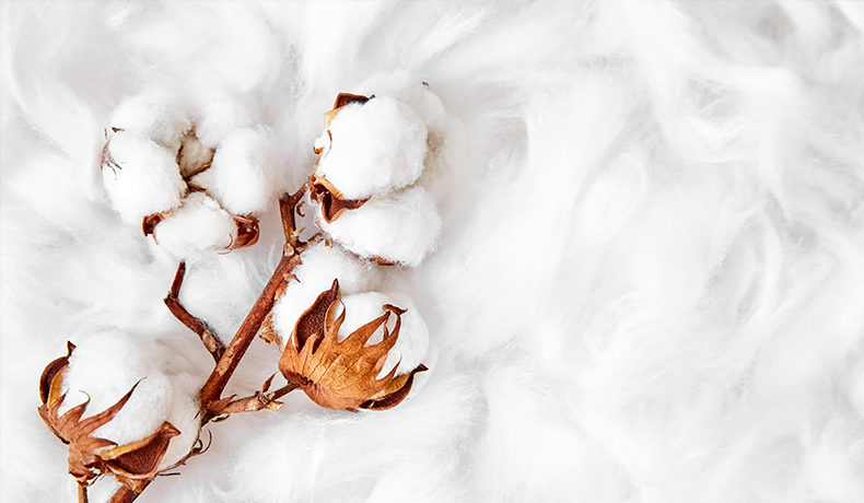 Coton naturel